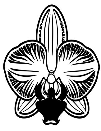 Cattleya Corsage - Free printable coloring page
