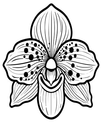 Paphiopedilum Slipper - Free printable coloring page