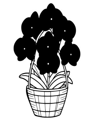Vanda Orchid - Free printable coloring page