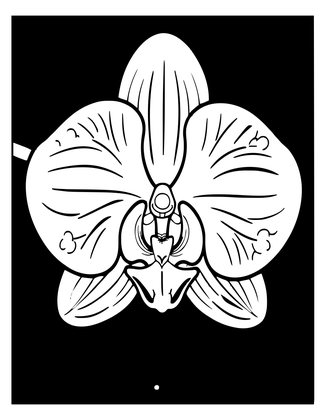 Ghost Orchid - Free printable coloring page