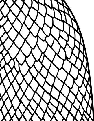 Scale Detail - Free printable coloring page