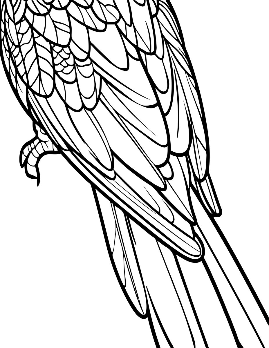 Parrot Feathers - free printable coloring page