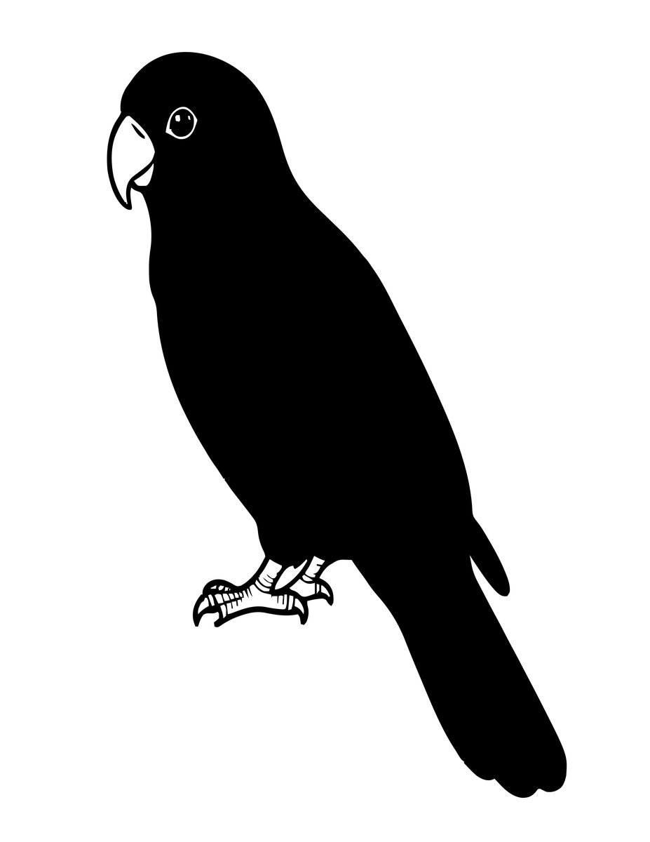 Eclectus Parrot - free printable coloring page