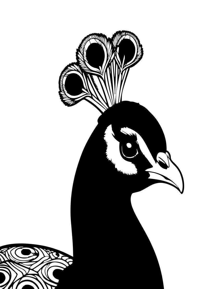 Peacock Portrait - free printable coloring page