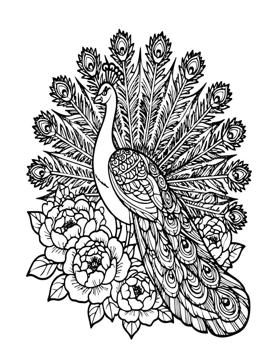 Peacock and Flowers - free printable coloring page