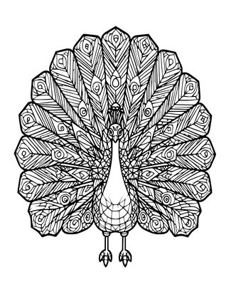 Geometric Peacock - Free printable coloring page