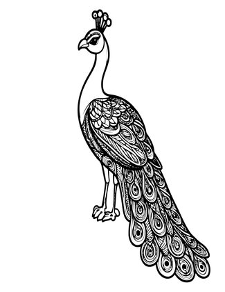 Zentangle Peacock - Free printable coloring page