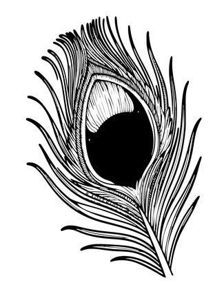 Feather Close-Up - Free printable coloring page