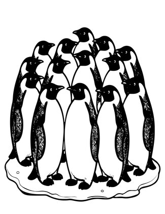 Penguin Colony - Free printable coloring page
