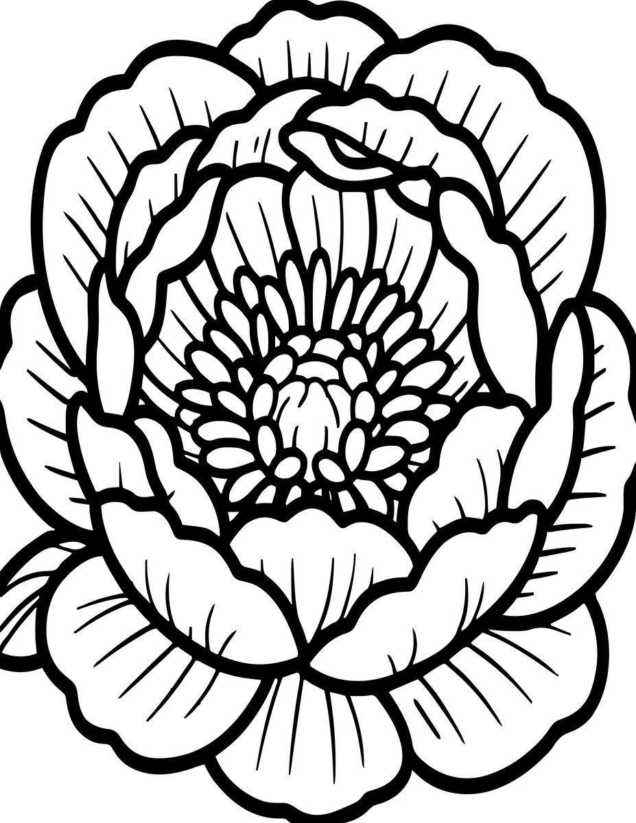 Peony Close-Up - free printable coloring page