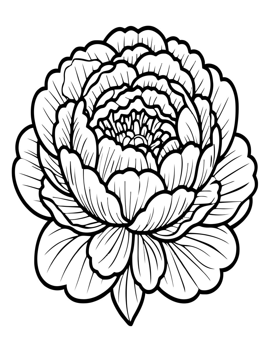 White Peony - free printable coloring page