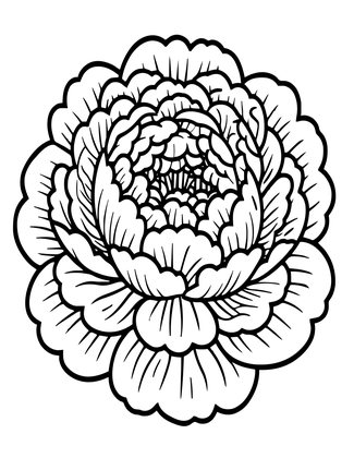Full Bloom Peony - Free printable coloring page