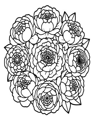 Peony and Ranunculus - Free printable coloring page