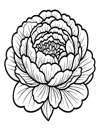 White Peony - Free printable coloring page