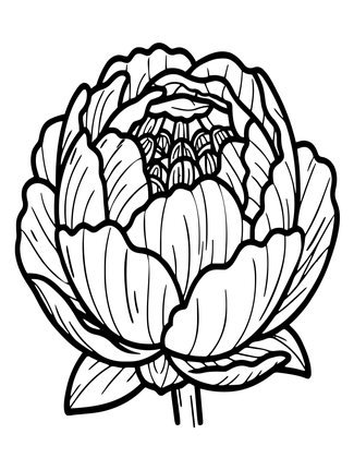 Peony Bud - Free printable coloring page