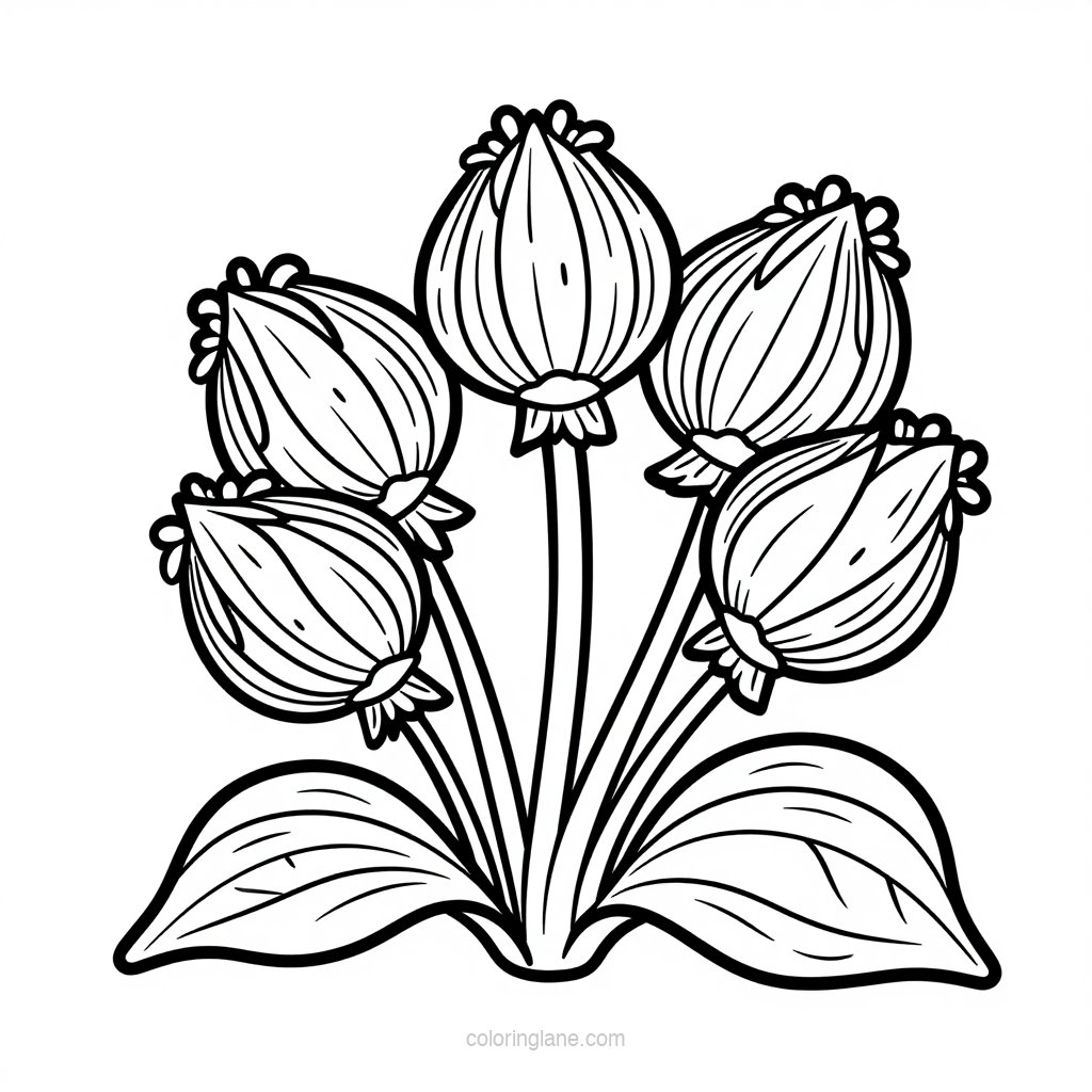 Giant Pansies - free printable coloring page