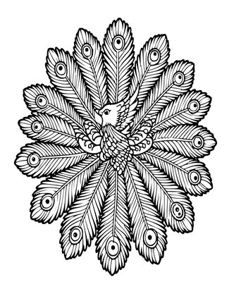 Phoenix Tail Display - Free printable coloring page