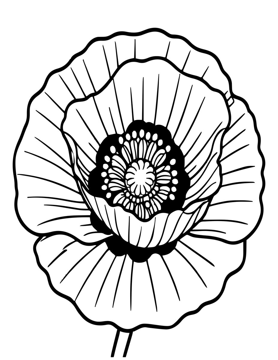 White Poppy - free printable coloring page