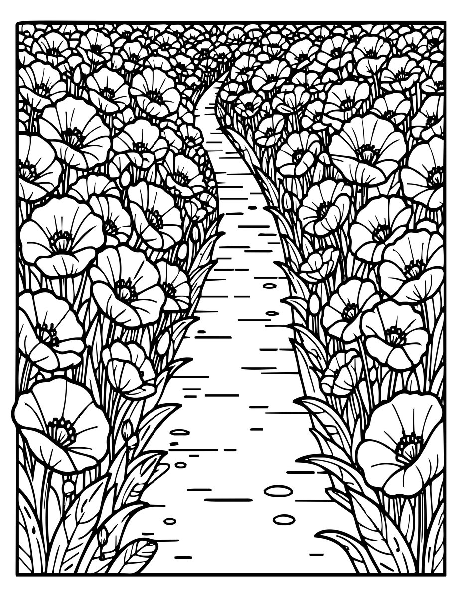 Poppy Meadow Path - free printable coloring page