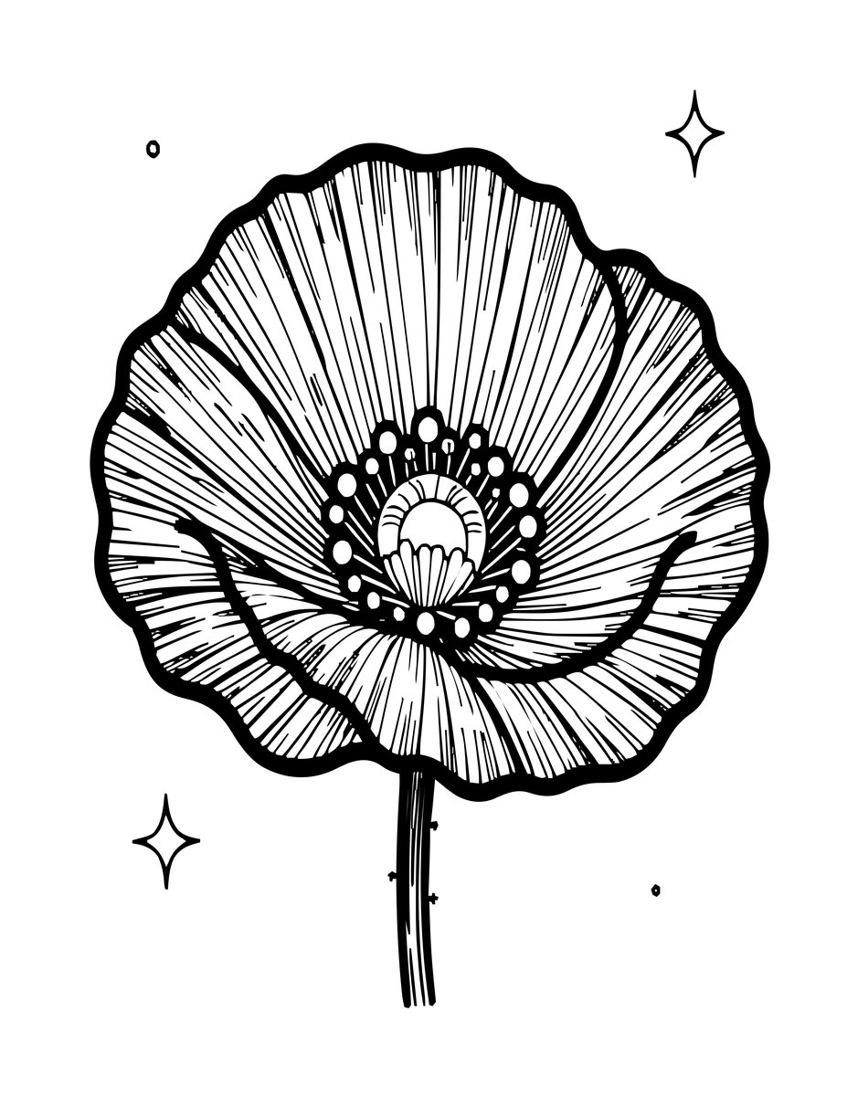 Poppy Under Stars - free printable coloring page
