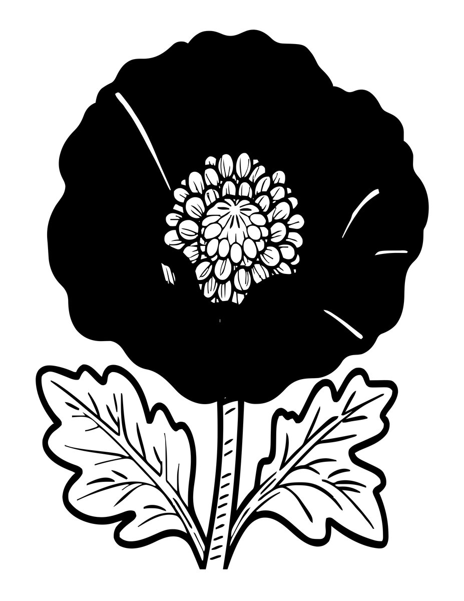 Opium Poppy - free printable coloring page