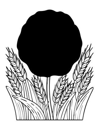 Red Field Poppy - Free printable coloring page