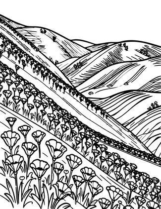 California Poppy - Free printable coloring page