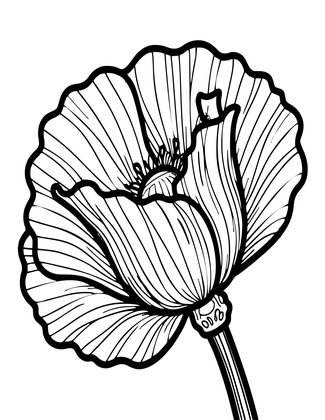 Poppy Bud - Free printable coloring page