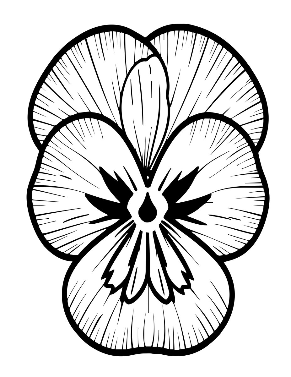 Pansy Press - free printable coloring page