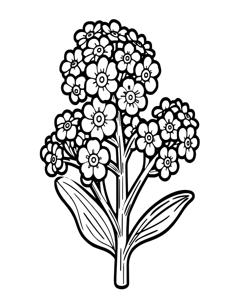 Pressed Forget-Me-Nots - free printable coloring page