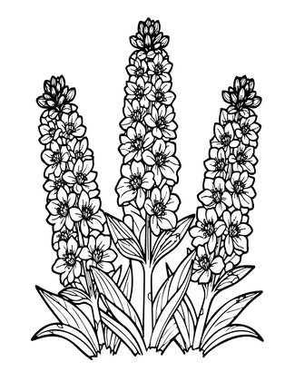 Pressed Larkspur - Free printable coloring page