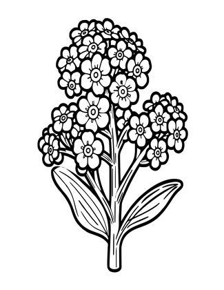 Pressed Forget-Me-Nots - Free printable coloring page