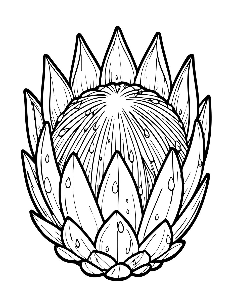 Protea in Rain - free printable coloring page