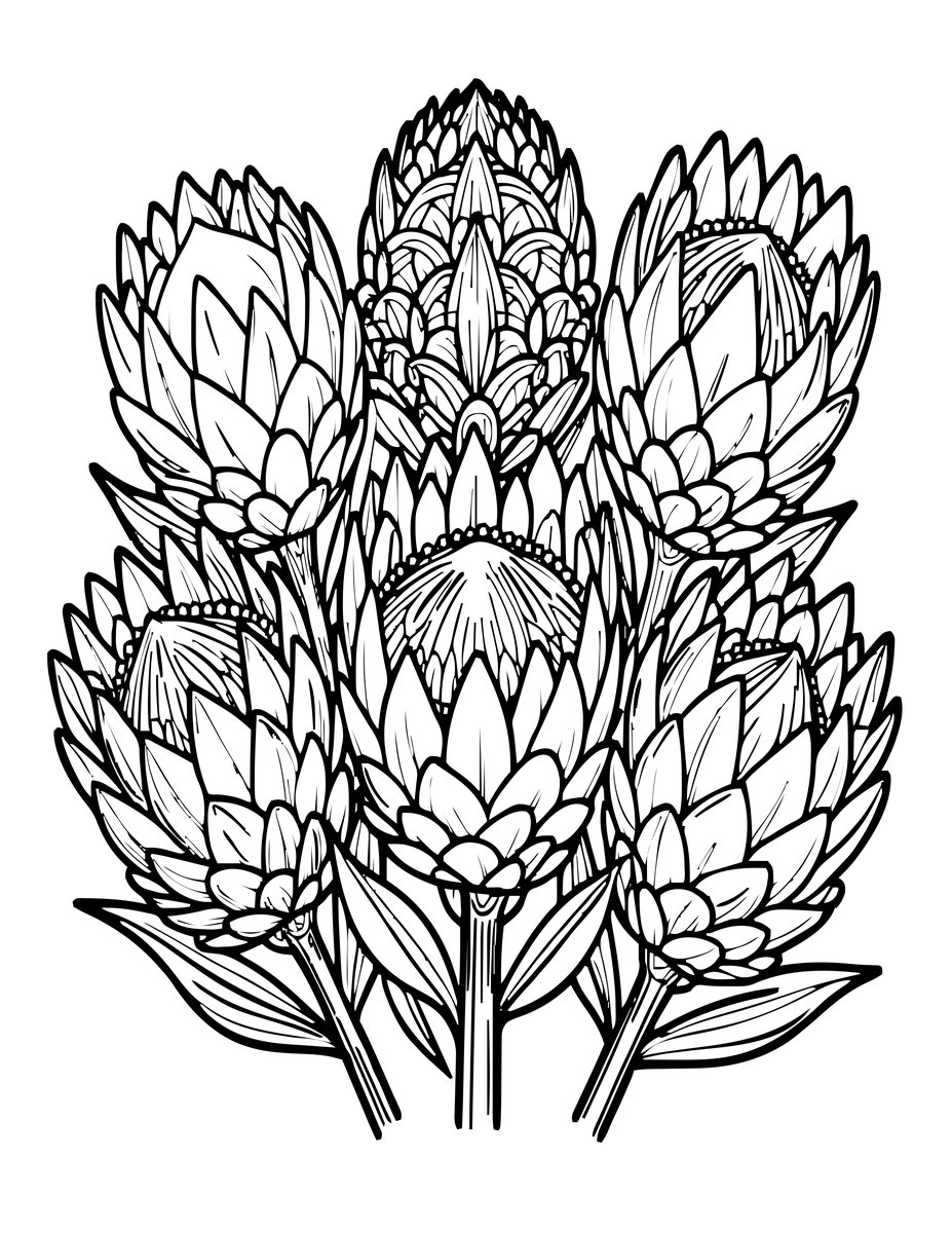 Protea Wedding - free printable coloring page