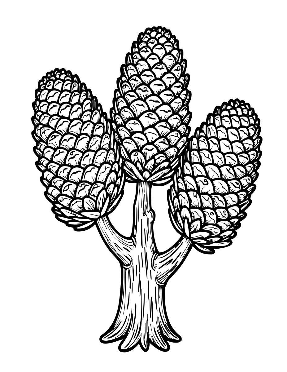 Old Man Banksia - free printable coloring page