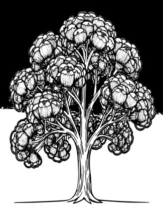 Banksia Tree - Free printable coloring page