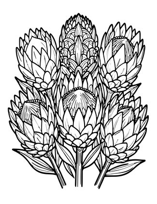 Protea Wedding - Free printable coloring page