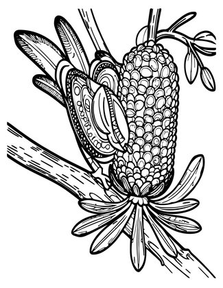 Banksia and Cockatoo - Free printable coloring page