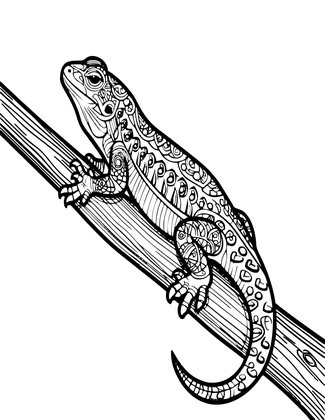 Banksia and Lizard - Free printable coloring page