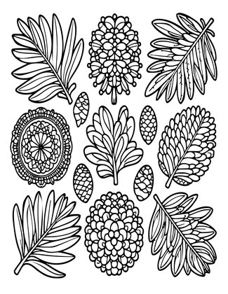 Banksia Pattern - Free printable coloring page