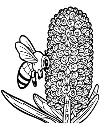 Banksia and Honey - Free printable coloring page