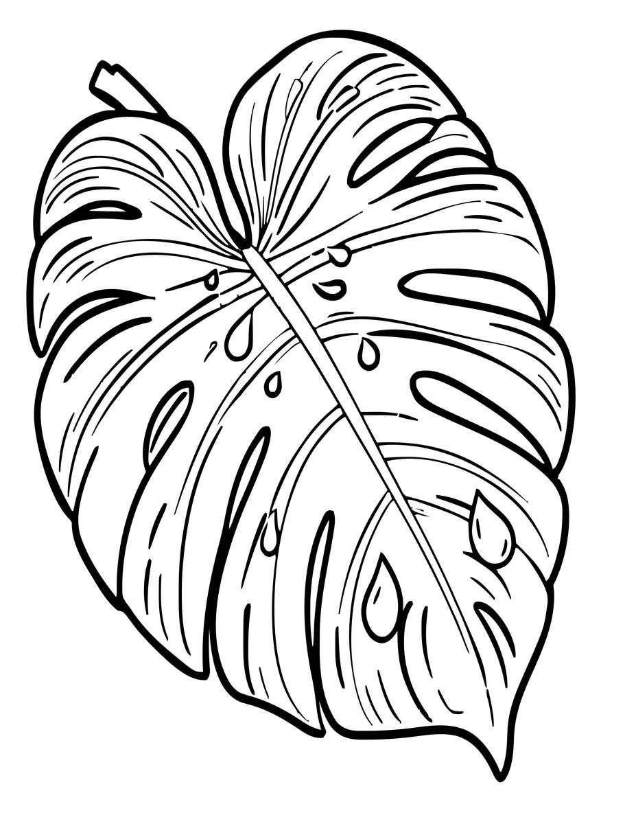 Raindrop Leaf - free printable coloring page