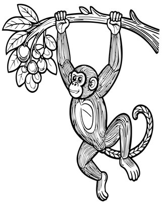 Spider Monkey - Free printable coloring page