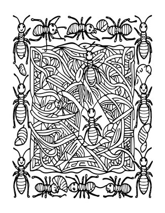 Army Ants - Free printable coloring page