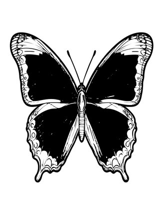 Morpho Butterfly - Free printable coloring page