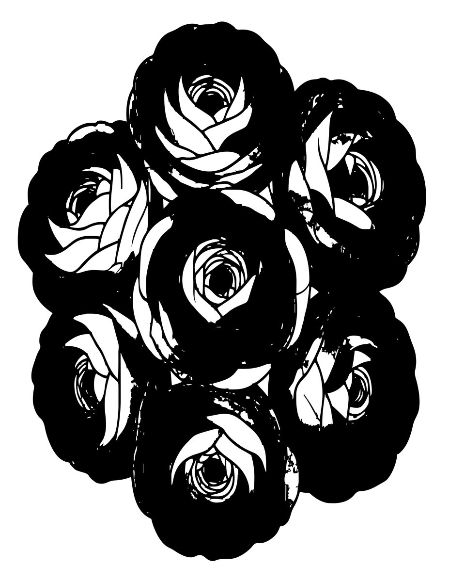 Pink Ranunculus - free printable coloring page