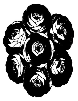 Pink Ranunculus - Free printable coloring page