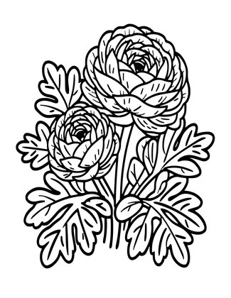 Stem and Leaf - Free printable coloring page
