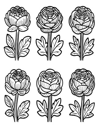 Bud to Bloom - Free printable coloring page
