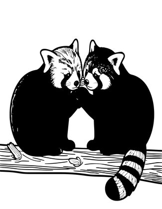 Red Panda Pair - Free printable coloring page